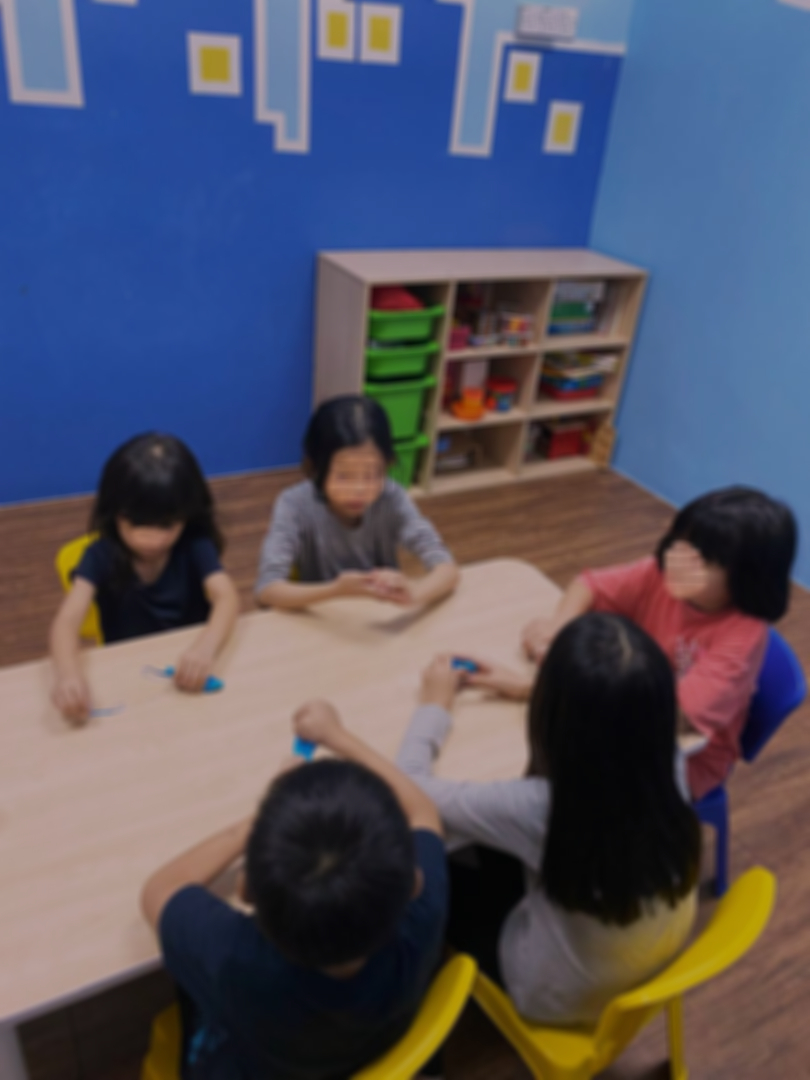 Early Intervention Program (EIP) YoungFerns Ipoh Perak Malaysia